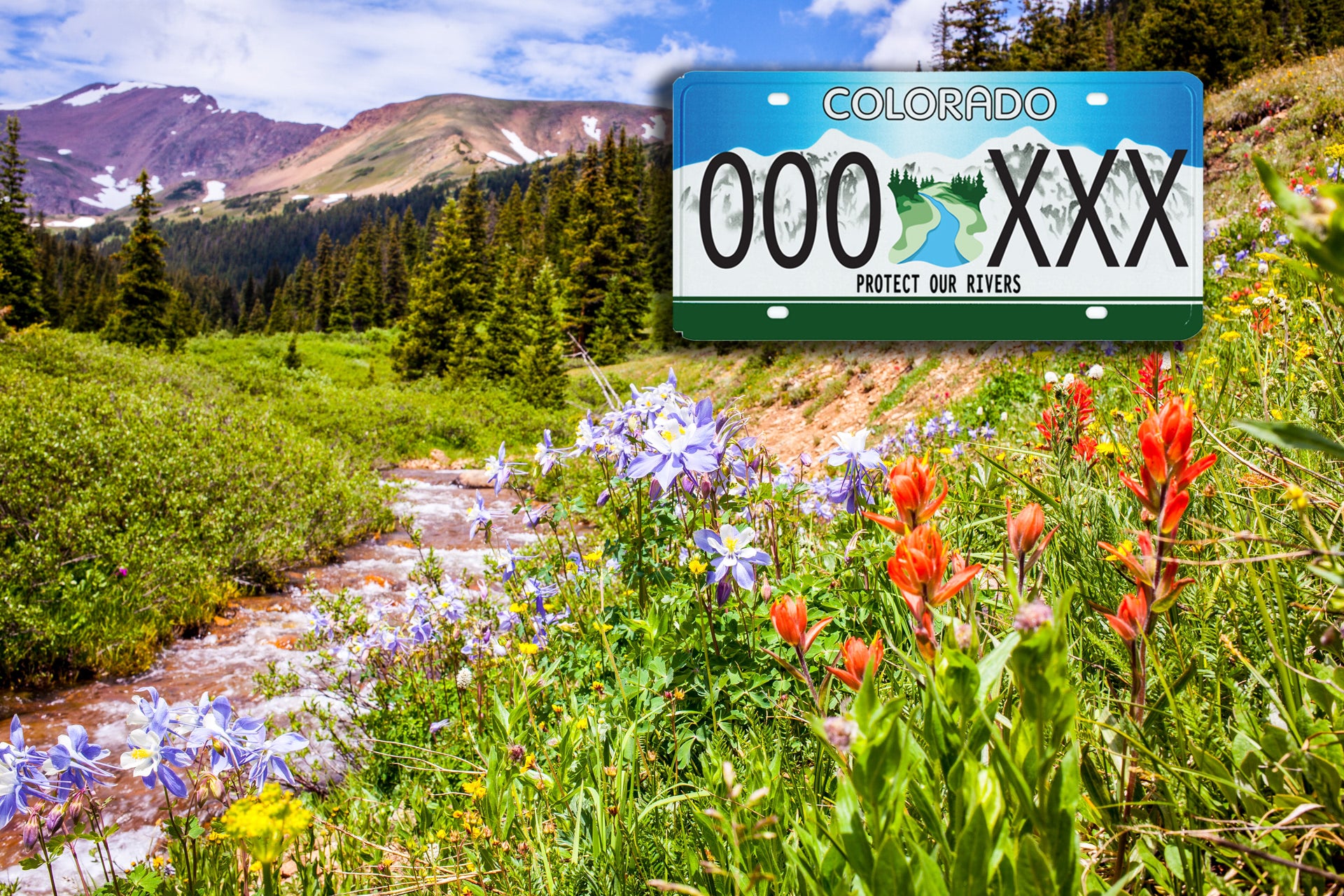 Protect Our Rivers License Plate from Colorado Trout Unlimited 