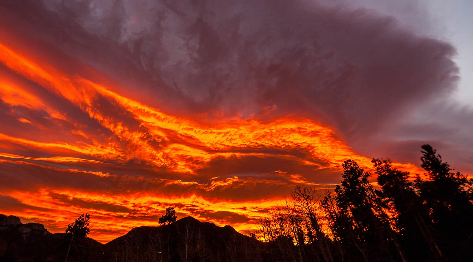 golden gate canyon state park asking for public comment on draft management plan