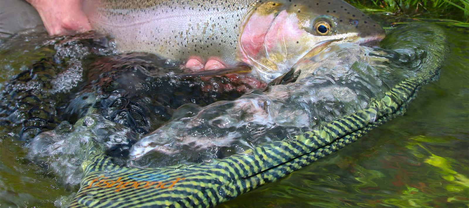 A Fishpond Net Part of the Nomad Fly Fishing Nets Product line Netting A Fish