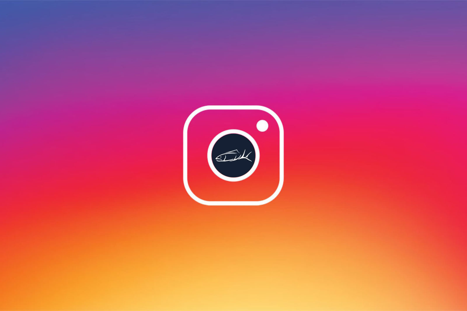 The basin + bend top 9 of Instagram for 2018