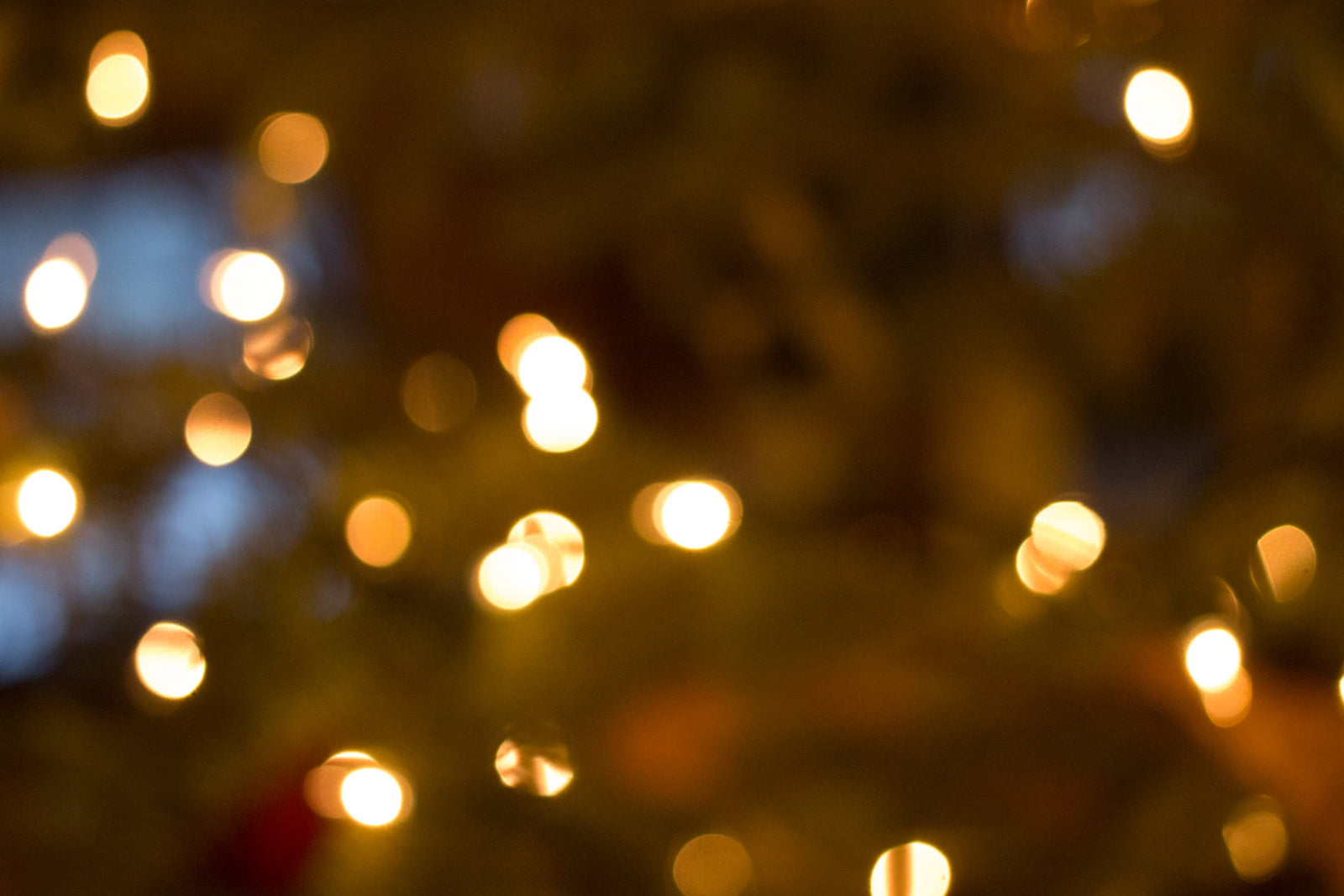 Last minute holiday gift ideas for the hunter or angler