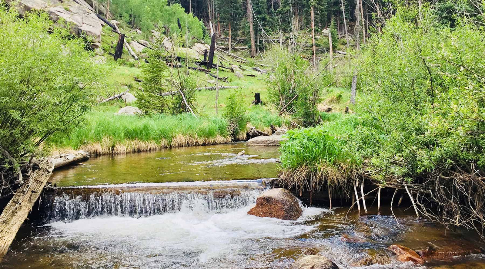 Opening Day: Fishing In The Mt. Evans (Now Mt. Blue Sky) State Wildlife Area & Mt. Evans (Mt. Blue Sky) Wilderness Area