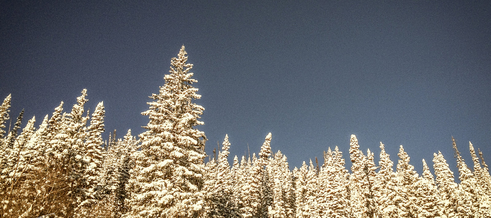 Winter Hiking and Adventure Gear in Black Hawk Colorado