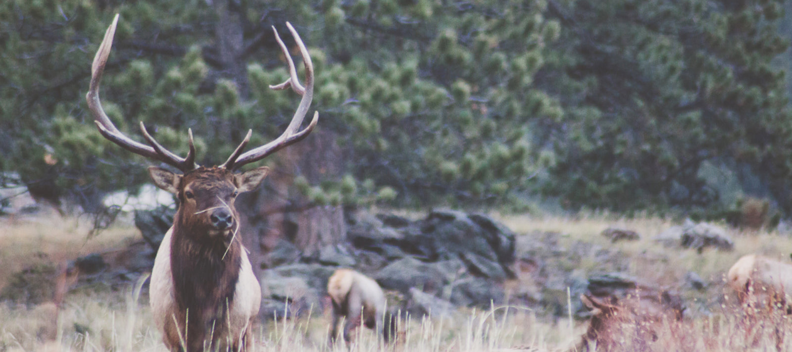 How basin + bend Works In Colorado