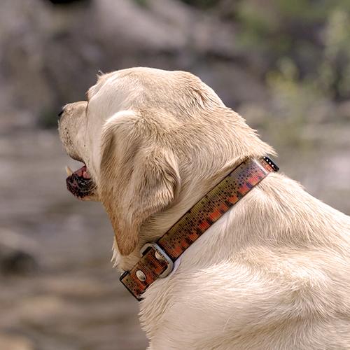 trout-unlimited-limited-edition-cutthroat-dog-collar.jpg